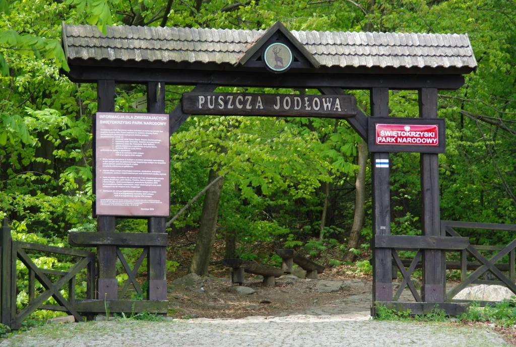 Ze względu na naturalność lasy te porównywalne są do Puszczy Białowieskiej, czyli reliktowego obszaru przyrody wybitnego w skali świata. Ze względu na naturalność lasy te porównywalne są do Puszczy Białowieskiej, czyli reliktowego obszaru przyrody wybitnego w skali świata.