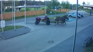 Powoził pod wpływem. Konie zawiozły go na komendę