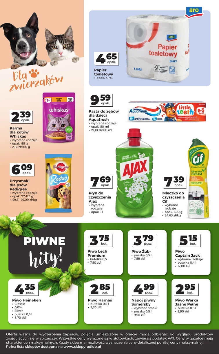 leaflet page preview image