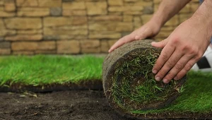 Trawa z rolki wymaga wcześniejszego przygotowania podłoża