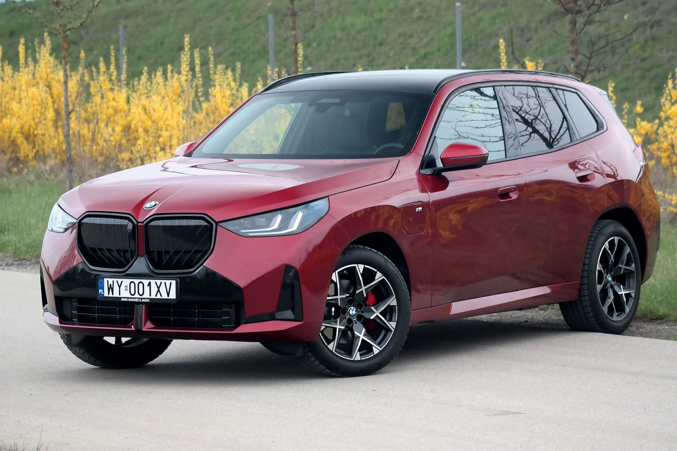 Czerwony samochód marki BMW zaparkowany na drodze, w tle zieleń oraz żółte krzewy ozdobne.