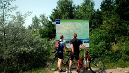 Pustynia Błędowska oferuje jedną z ciekawszych tras rowerowych w Polsce