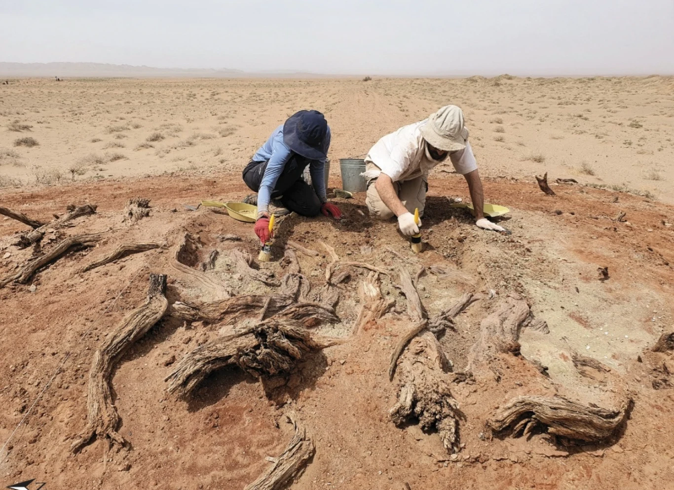 Na terenie budowli odnaleziono wiele elementów użytych do jej konstrukcji, a także artefakty metalurgiczne, ceramikę i ślady palenisk. Dwóch paleontologów pracujących nad odsłoniętymi skamieniałościami w suchym, pustynnym krajobrazie, używających narzędzi do ostrożnego odkopywania pozostałości dużego dinozaura.