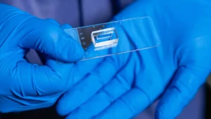 Stworzyli innowacyjny chip. Naśladuje ludzkie naczynia krwionośne