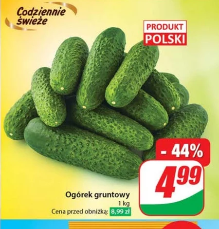 Огірок Polski