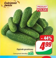 Огірок Polski