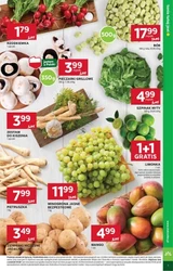 Chwytaj okazje od czwartku – Stokrotka