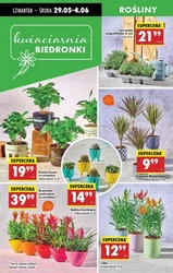 Od czwartku w Biedronce 