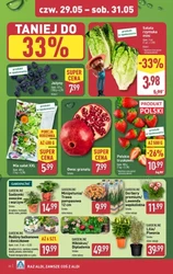 Dodatkowe promocje w ALDI! 
