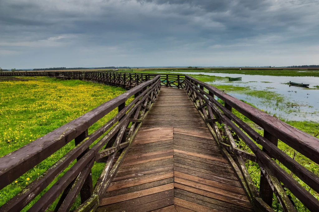 Narew to jedna z atrakcji Podlasia Narew to jedna z atrakcji Podlasia