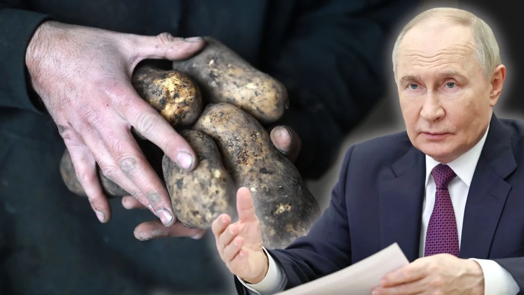 Żywnościowy kryzy w Rosji, ziemniak na wagę rubla