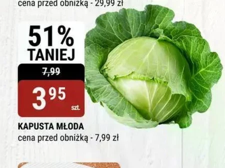 Молода капуста