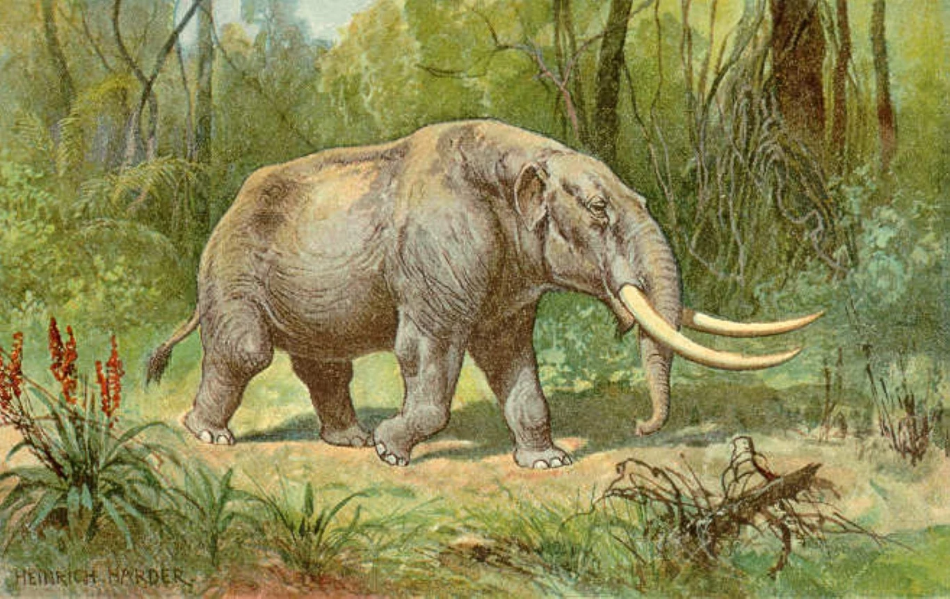 Mamut o długich, zakrzywionych ciosach przechadza się po zielonym lesie, otoczony gęstą roślinnością, w świetle słonecznym padającym przez korony drzew.