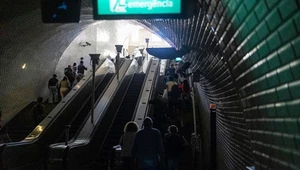 Upał dochodzi do 40 stopni. Zdecydowali się na niecodzienny ruch