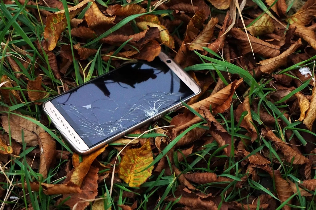 Fot. pixabay.com/ Glavo Telefon komórkowy ze zbitą szybą leżący wśród opadłych, suchych liści i zielonej trawy.