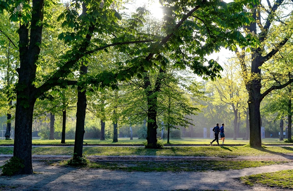 Fot. pixabay.com/ wal_172619 Zielony park w wiosennym świetle, wysokie drzewa z bujną koroną, przez liście przebijają się promienie słońca, na alejce spacerują dwie osoby w sportowych strojach.