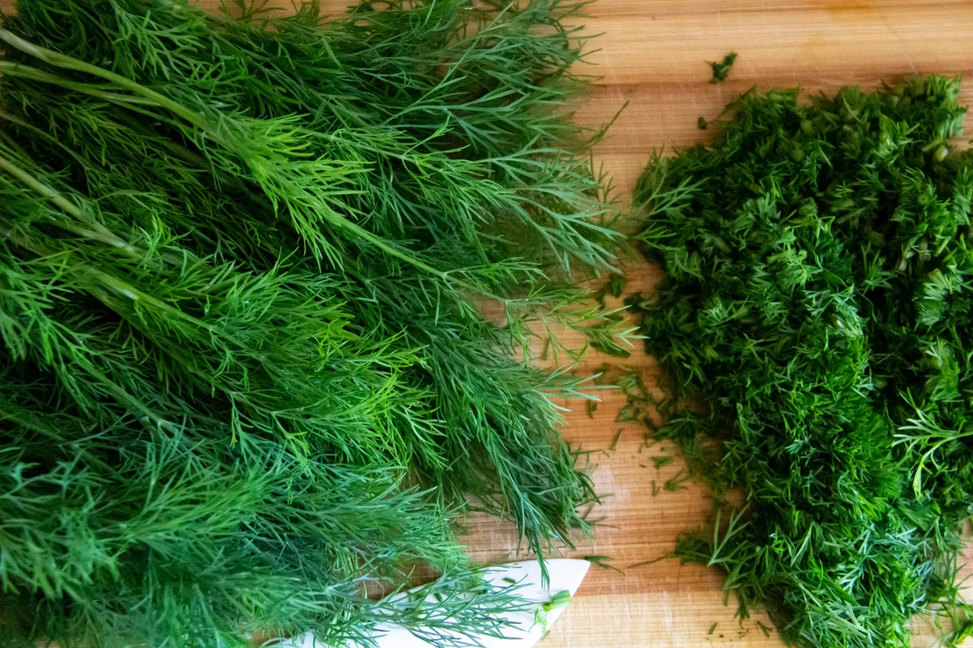 Mrożenie koperku to świetny patent na przedłużenie jego świeżości Mrożenie koperku to świetny patent na przedłużenie jego świeżości