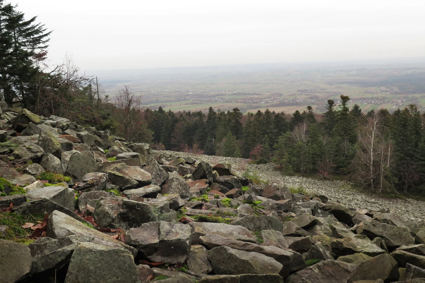 Góry Świętokrzyskie uchodzą za najstarsze góry Europy pod względem geologicznym. Z czego słyną? Góry Świętokrzyskie uchodzą za najstarsze góry Europy pod względem geologicznym. Z czego słyną?