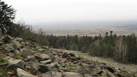 Góry Świętokrzyskie uchodzą za najstarsze góry Europy pod względem geologicznym. Z czego słyną? 