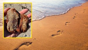 Bałtyk wyrzucił cenny skarb. Niesamowite odkrycie na plaży