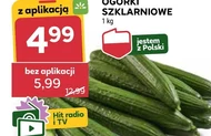 Ogórki Hit