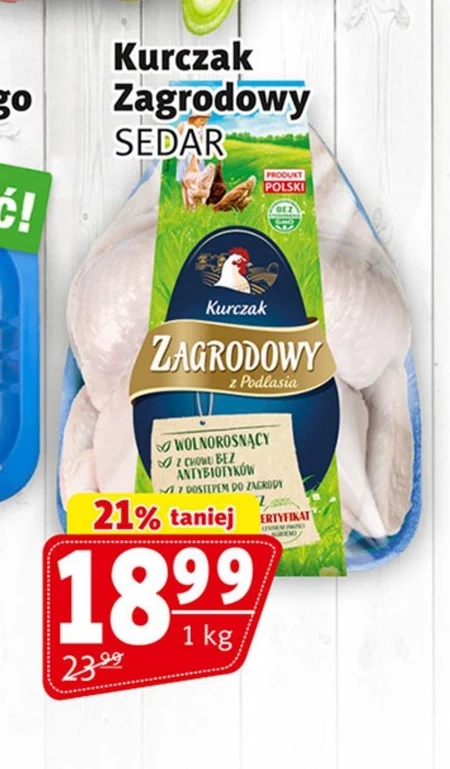 Kurczak Sedar