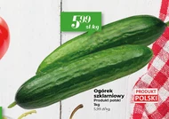 Огірок Polski