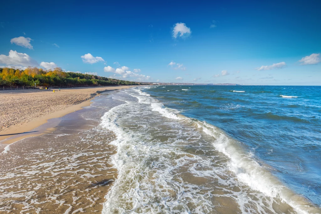 Gdzie na plażę w Trójmieście? 