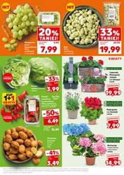 Mocny Start! - Kaufland
