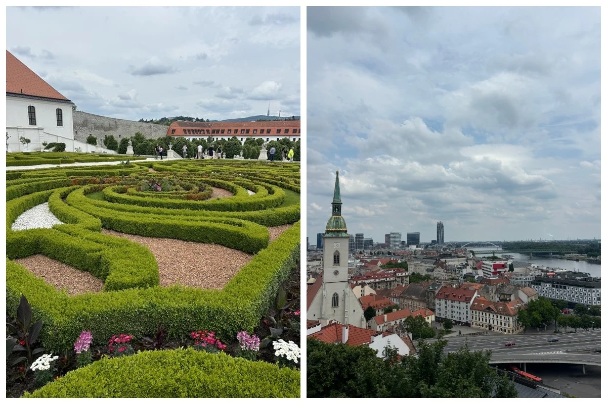 Bratysława Labirynt z żywopłotów zlokalizowany przy zabytkowym budynku oraz panorama miasta z widocznym kościołem, rzeką i wieżowcami w tle