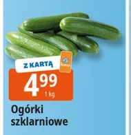 Огірки