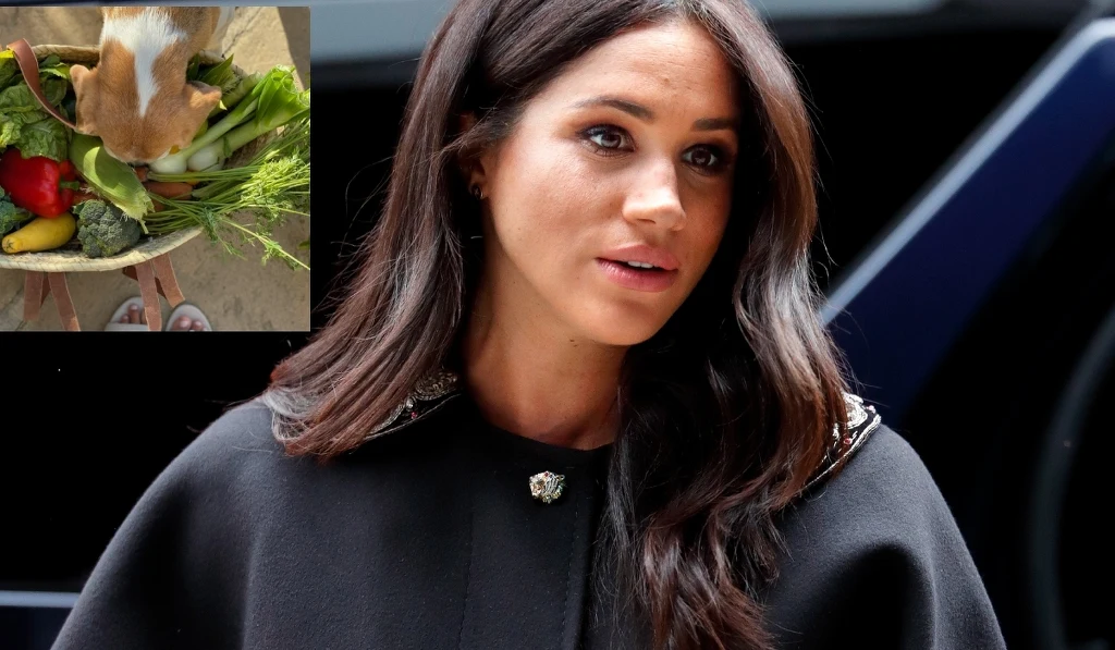 Meghan Markle, fot. https://www.instagram.com/aseverofficial/
