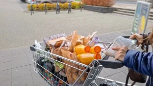 Inflacja w Polsce znów w górę. GUS opublikował nowe dane 