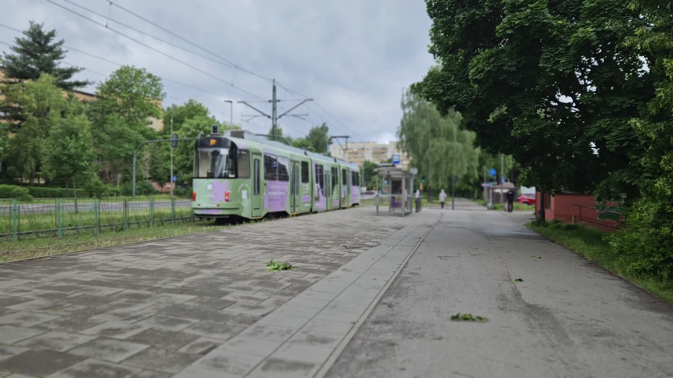 Przystanek przy ulicy Teligi Tramwaj zatrzymujący się na pustym przystanku, otoczony zielenią i nielicznymi przechodniami, przy pochmurnym niebie, z widoczną infrastrukturą miejską i drzewami po prawej stronie.