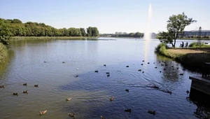 Ma 111 km i mnóstwo atrakcji po drodze. Ten szlak nie zawiedzie rowerzystów