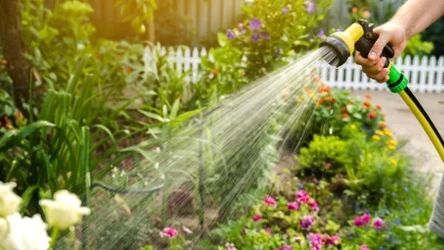 Zadbaj o swój ogród z Action