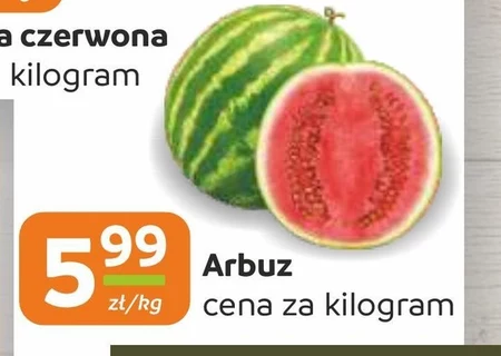 Arbuz