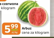 Arbuz