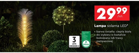 Lampa solarna Dekra