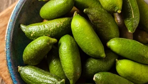 Caviar lime (limonka kawiorowa) skrywa małe, przypominające kawior kuleczki