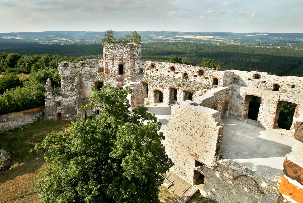 Zamek Tenczyn we wsi Rudno