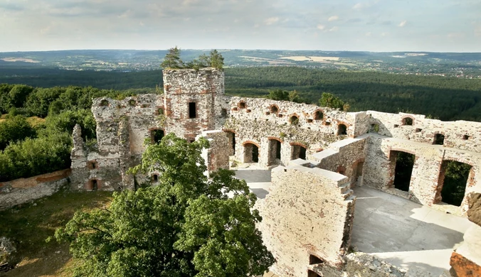 Zamek Tenczyn we wsi Rudno