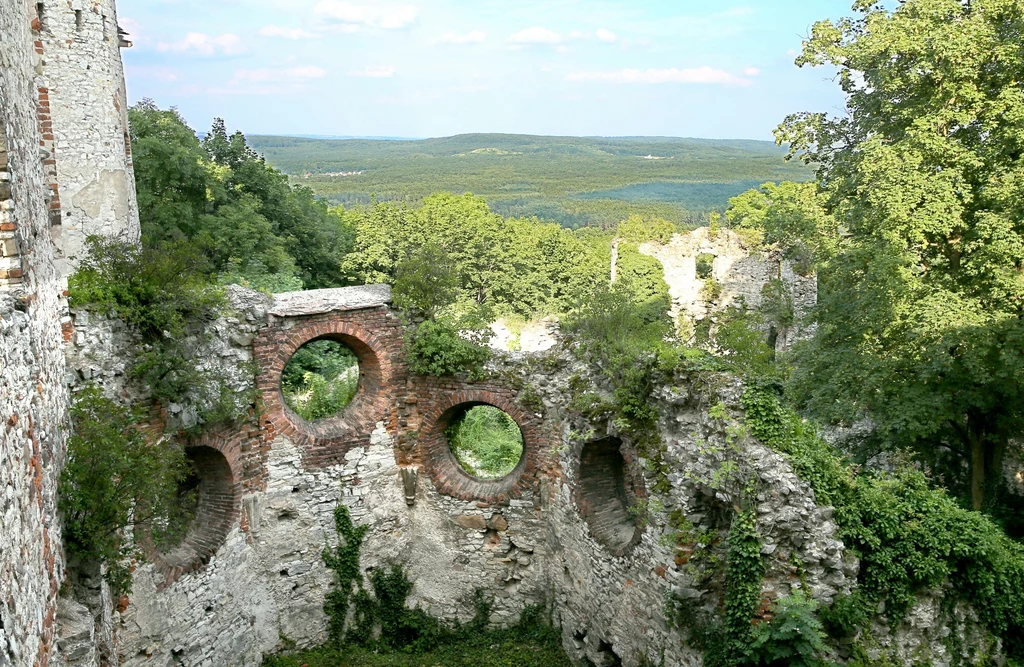 Zrujnowane mury zamku z okrągłymi otworami otoczone gęstą zielenią, w tle rozciąga się panorama lasów i wzgórz pod jasnym niebem.