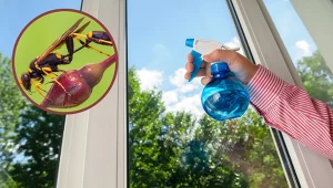 Te owady więcej nie zbliżą się do okien. Wystarczy, że spryskasz ramy tym 