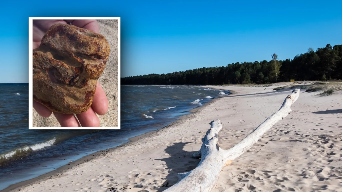 Niemka znalazła nad Bałtykiem gigantyczny bursztyn Plaża z białym wyrzuconym na brzeg pniem drzewa, fale lekkiego morza oraz las iglasty na horyzoncie, na pierwszym planie w ramce trzymany w dłoni kamień o nieregularnym kształcie i jasnobrązowej barwie.