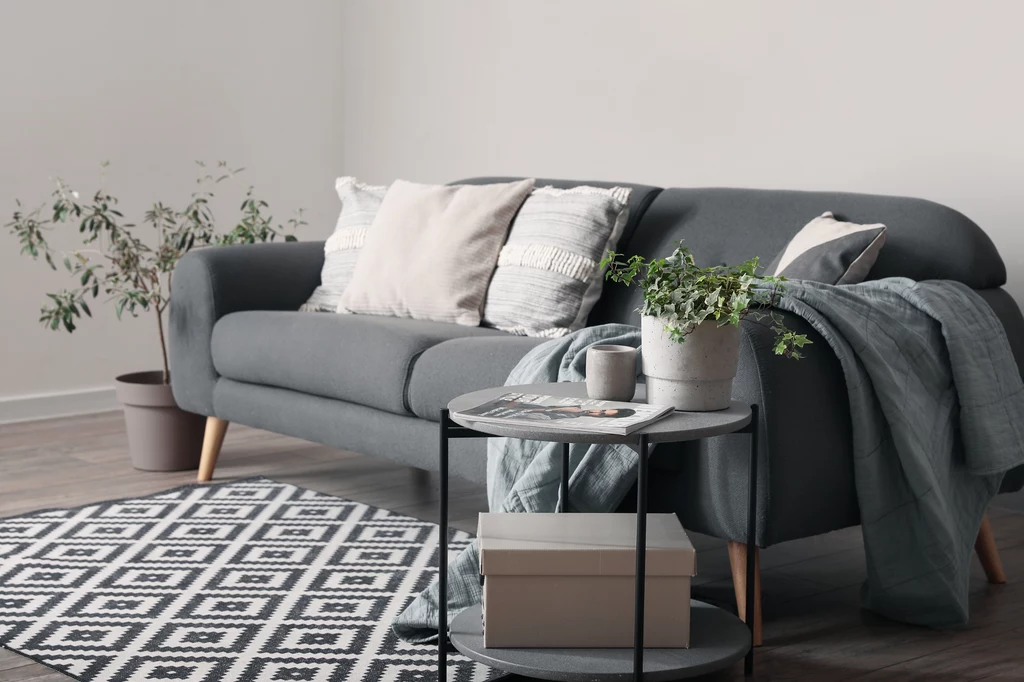 Millenial grey często skutkował monotonią Szara sofa z jasnymi poduszkami i pledem, okrągły stolik z doniczką oraz niewielkie pudełka, na podłodze dywan w geometryczne wzory, w tle doniczkowa roślina.