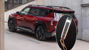 Bawisz się pilotem w EV9? Uważaj przy parkowaniu