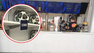 Paragony grozy? Sprawdziliśmy ceny na finale LM. Niemcy liczą na grube miliony