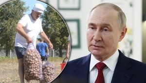 Ziemniaczany kryzys w Rosji, Białoruś nie pomaga. "Sprawa jest poważna"