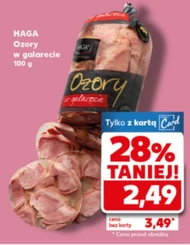 Ozory Haga